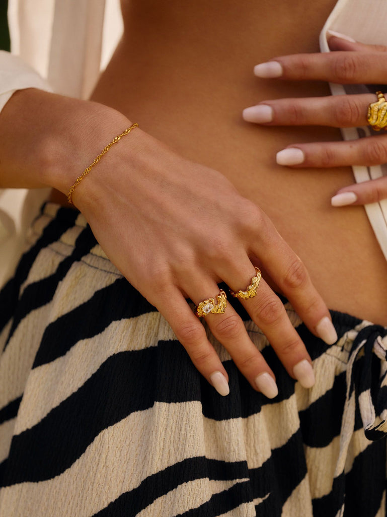 Zebra Collection