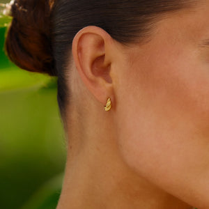 Hugged Zebra Stud Earrings
