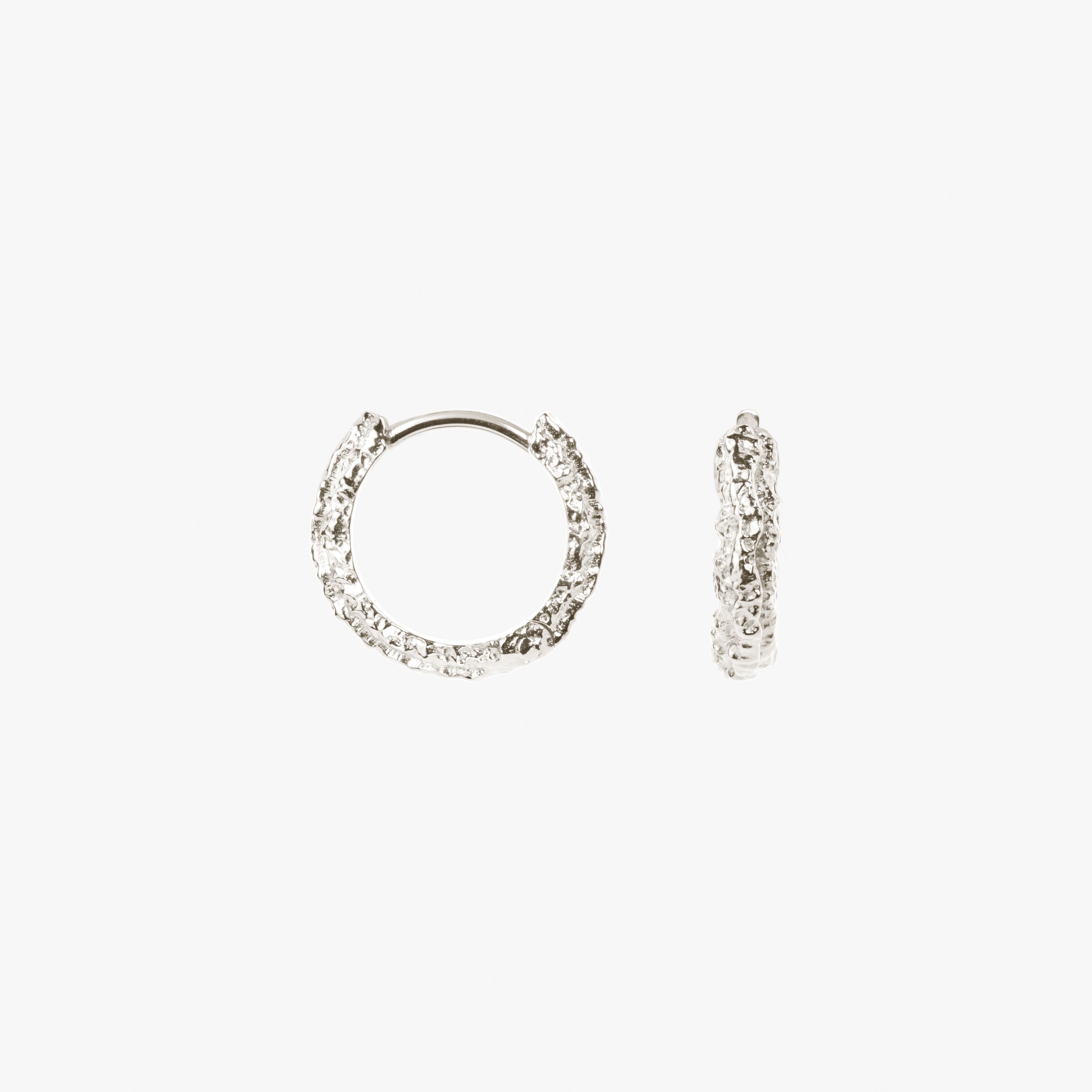 Small Sparkly Hoops