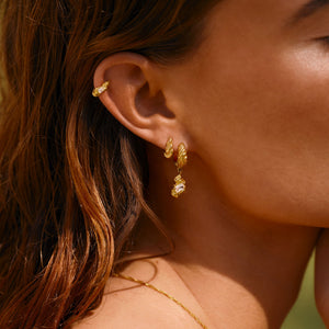 Small Flare Zebra Hoops