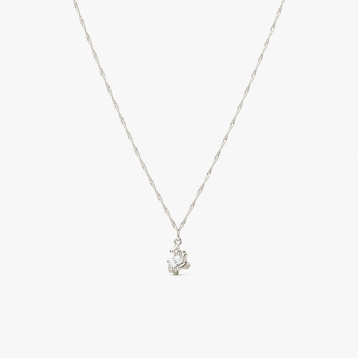 Flare Zebra Necklace