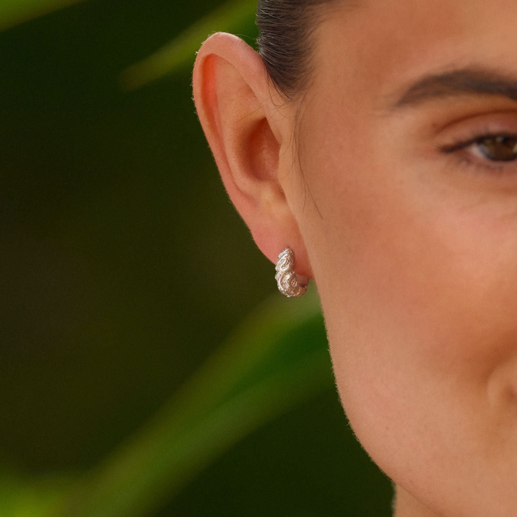 Small Zebra Hoops