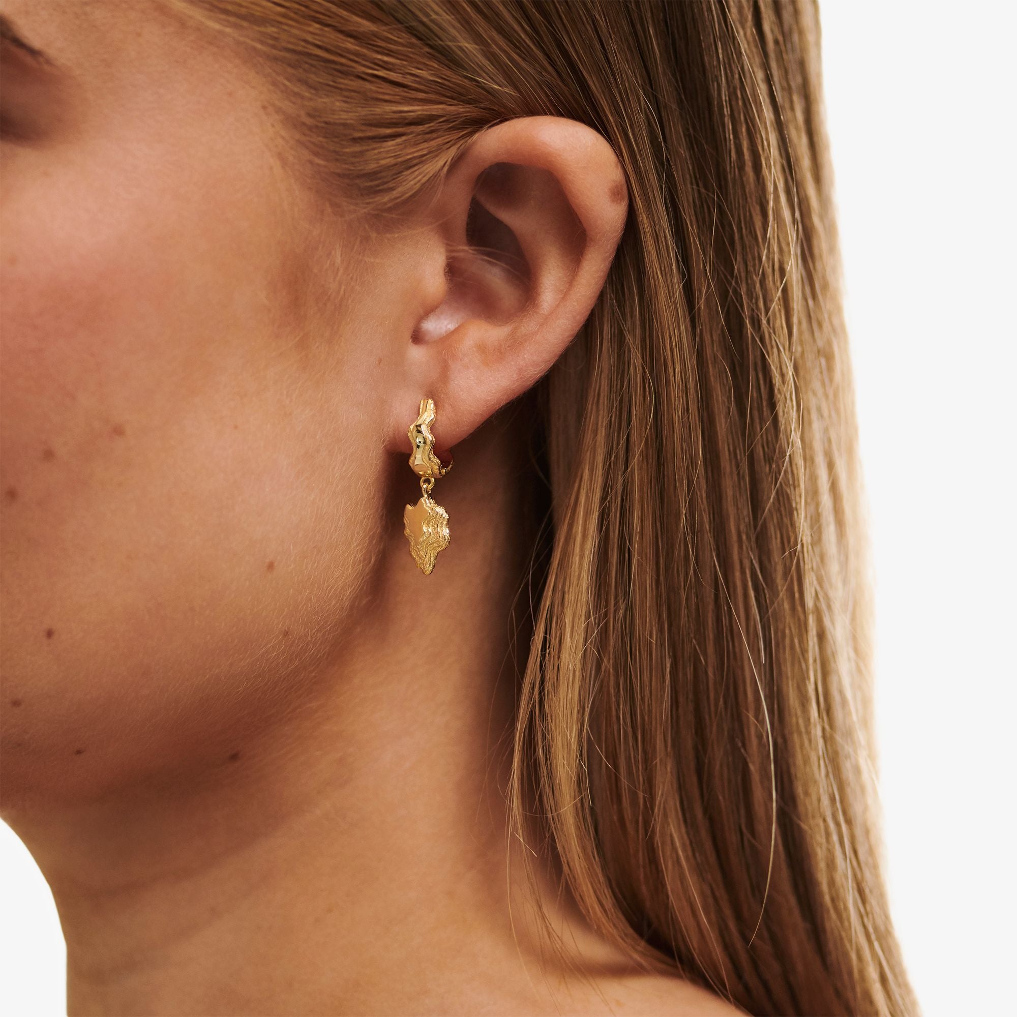 Large Blurry Layers Earrings