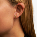 Large Inferno Flames Earstuds